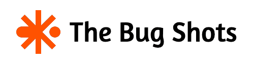 The Bug Shots